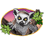 Lemur